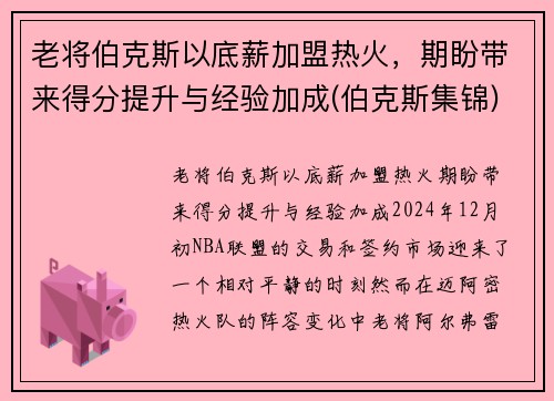 老将伯克斯以底薪加盟热火，期盼带来得分提升与经验加成(伯克斯集锦)